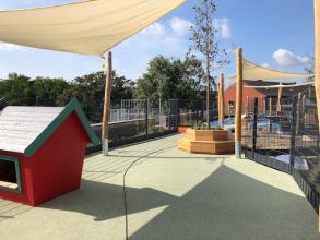 
		Roof garden childcare center Sonneberger
	